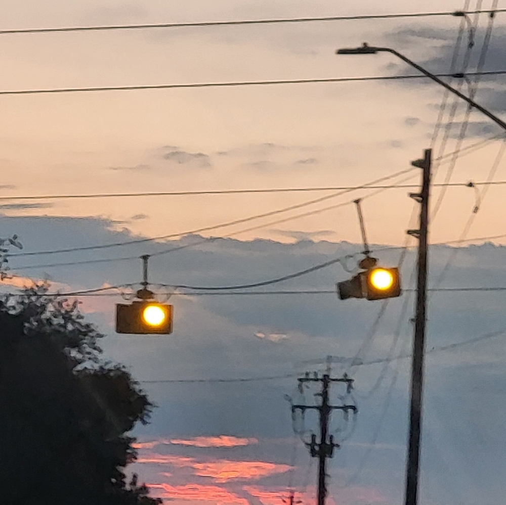 Meet your Posher, Davis